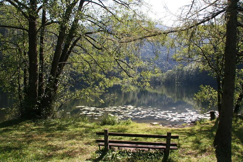 فيلا سانكت جيلجنفي Schlossmayrhof المظهر الخارجي الصورة